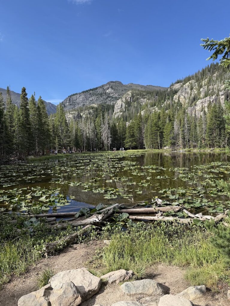 Photo of Nymph Lake in Rocky Mountain National Park
